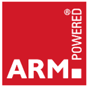 arm badge